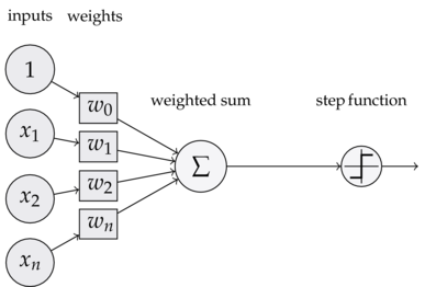 The mathematical model of a perceptron.
